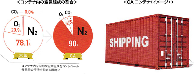 ＜コンテナ内の空気組成の割合＞＜CA コンテナ（イメージ）＞