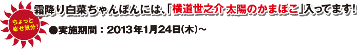 ちょっと幸せ気分！霜降り白菜ちゃんぽんには、「横道世之介太陽のかまぼこ」が入ってます！実施期間：2013年1月24日(木)～